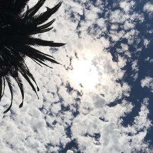 Meet your Posher, Ronald